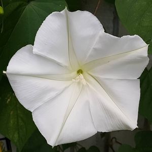 Meet your Posher, Cheri